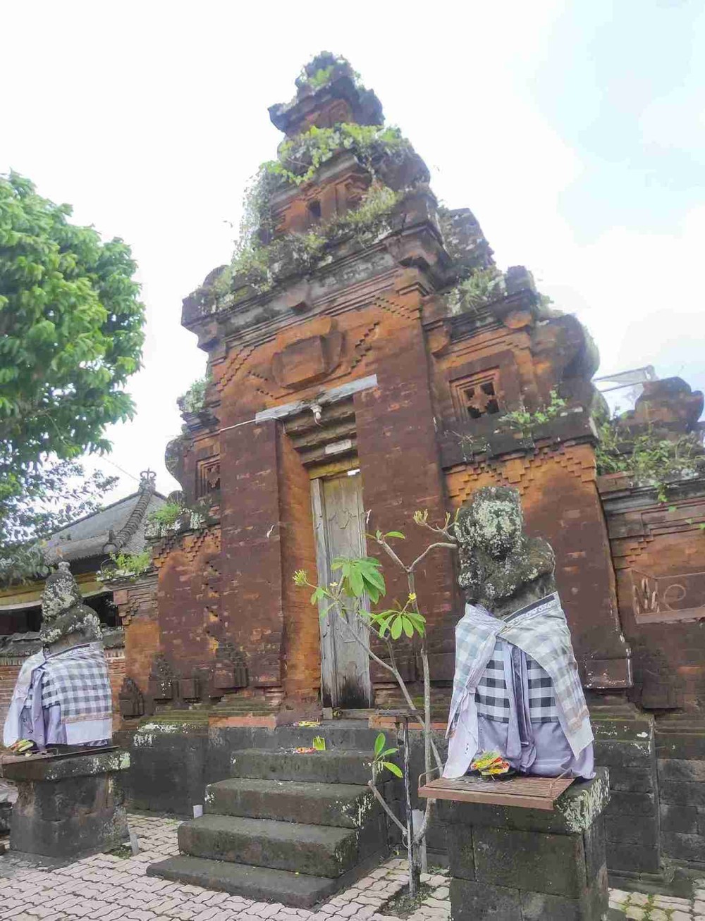 Kori agung